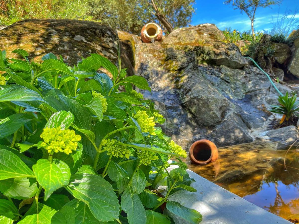 Отель Casa Rico Frade Garden Sao Pedro do Corval Экстерьер фото