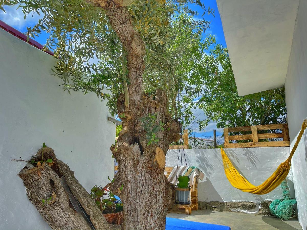 Отель Casa Rico Frade Garden Sao Pedro do Corval Экстерьер фото