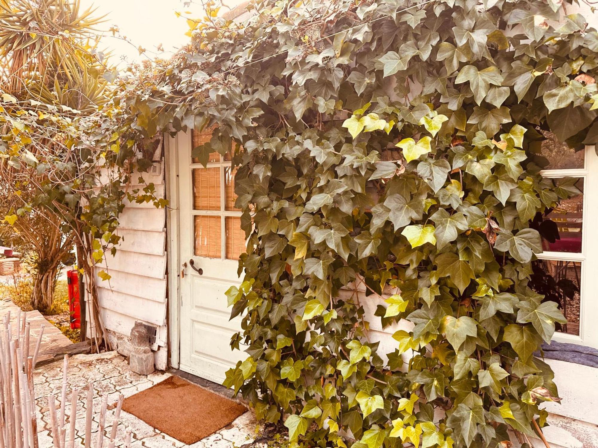 Отель Casa Rico Frade Garden Sao Pedro do Corval Экстерьер фото